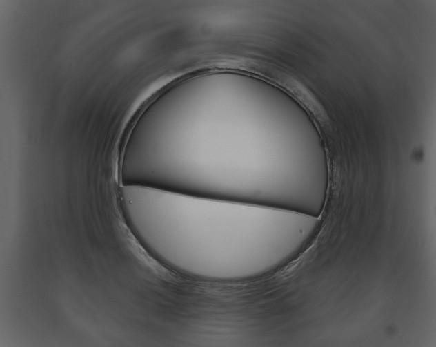 X0000091681036200708231103