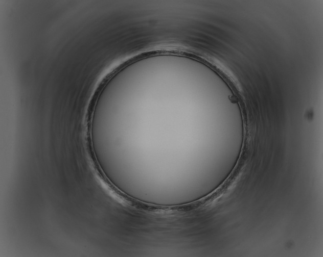 X0000091681037200708231103