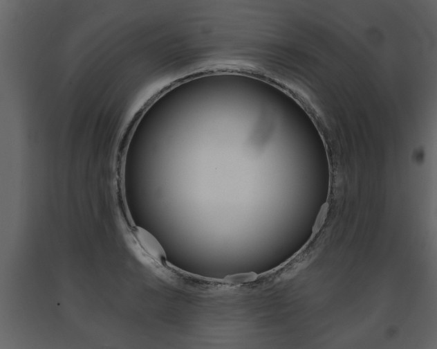 X0000091681038200708231103