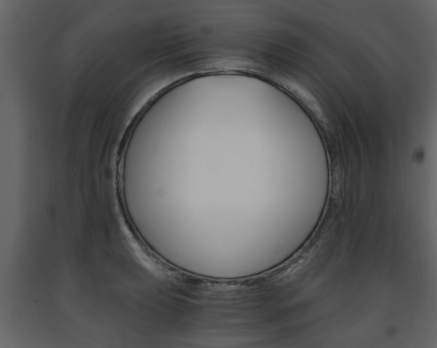 X0000091681039200708231103