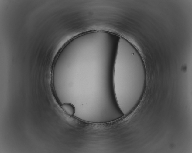 X0000091681040200708231103