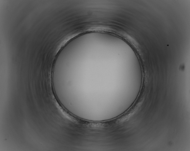 X0000091681041200708231103