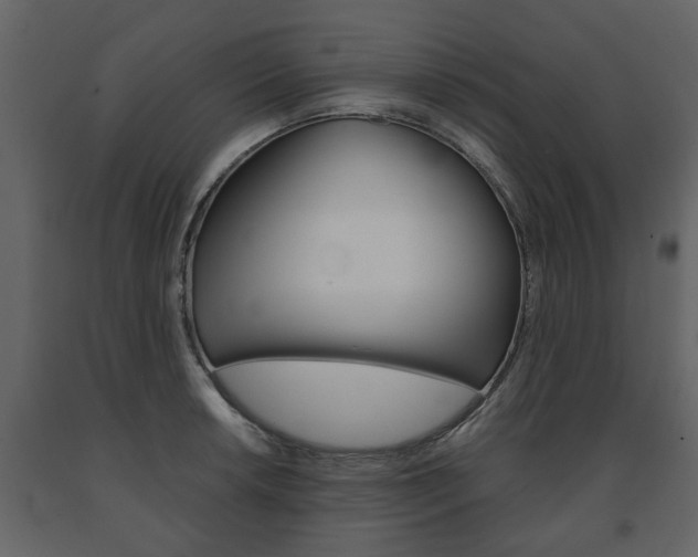X0000091681042200708231103