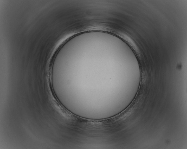 X0000091681043200708231103