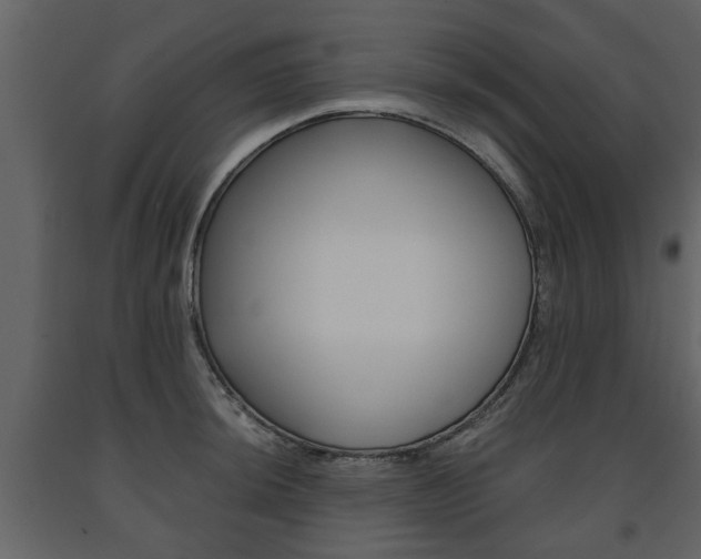 X0000091681044200708231103