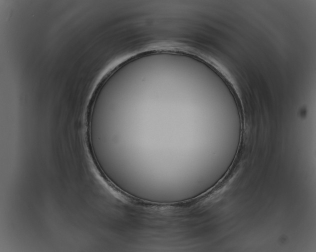 X0000091681045200708231103