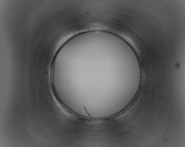 X0000091681047200708231103