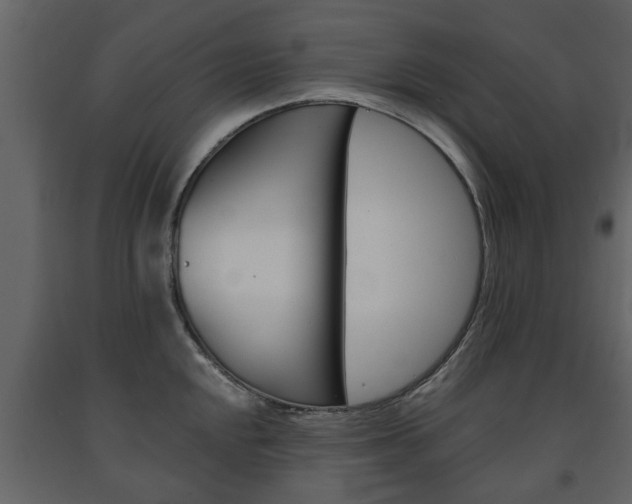 X0000091681048200708231103