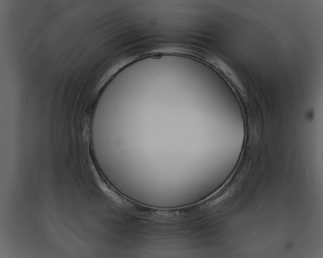 X0000091681049200708231103