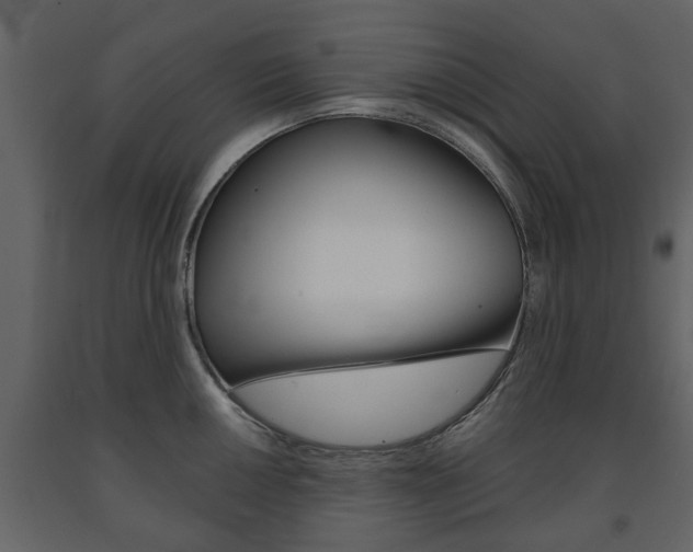 X0000091681050200708231103
