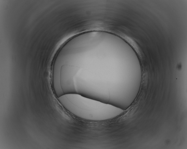 X0000091681051200708231103