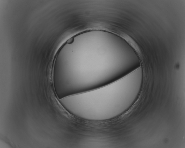X0000091681052200708231103