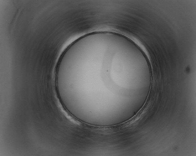 X0000091681053200708231103