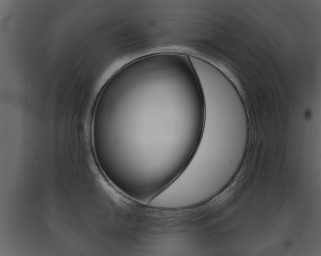X0000091681054200708231103