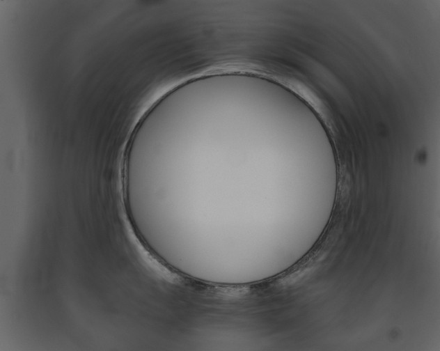 X0000091681055200708231103