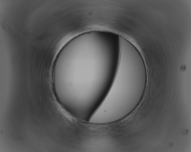 X0000091681056200708231103