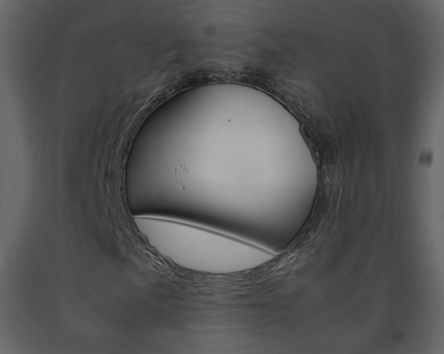 X0000091681057200708231102