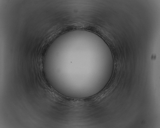 X0000091681058200708231102