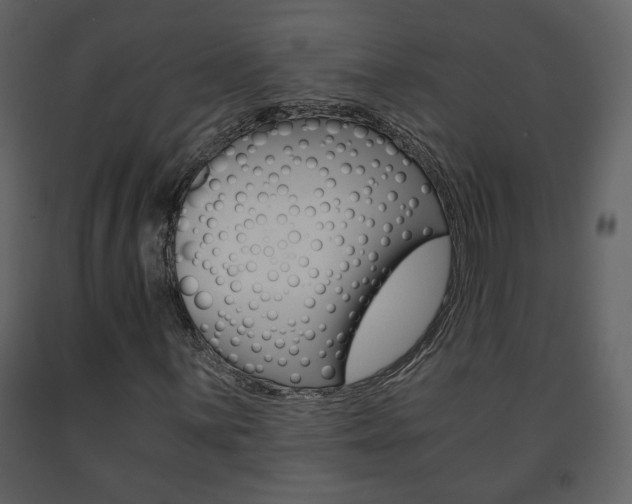 X0000091681059200708231102