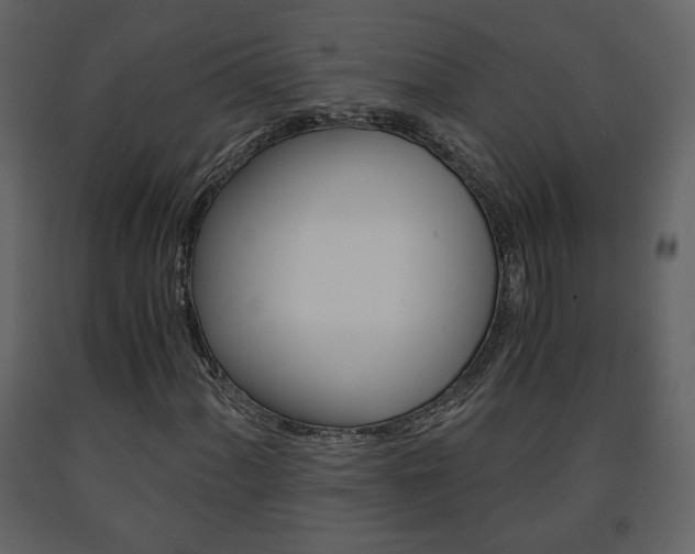 X0000091681060200708231102