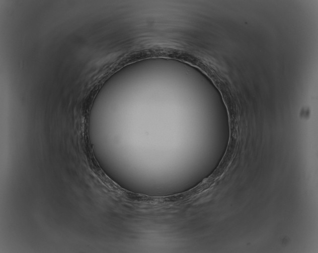 X0000091681061200708231102