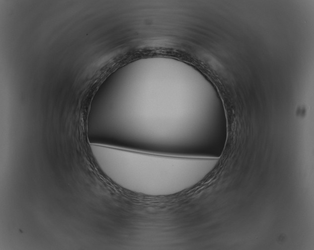 X0000091681062200708231102