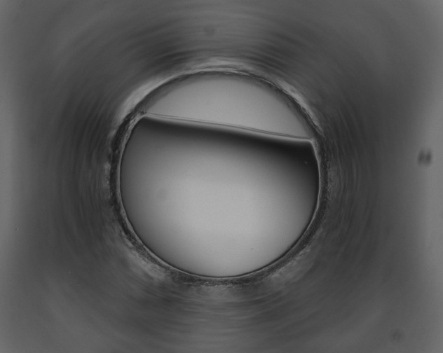 X0000091681066200708231102
