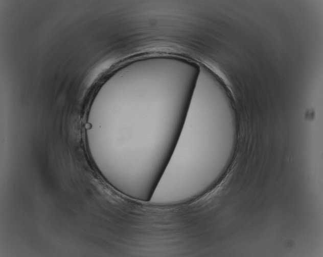 X0000091681067200708231102