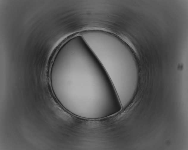 X0000091681068200708231102