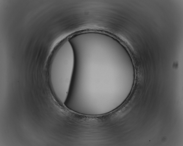 X0000091681070200708231102