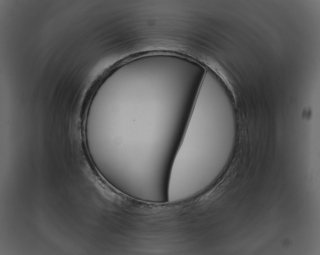 X0000091681072200708231102