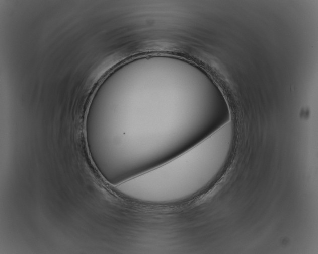 X0000091681073200708231102