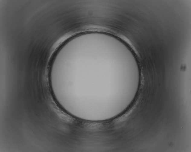 X0000091681074200708231102