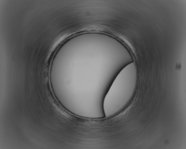 X0000091681075200708231102