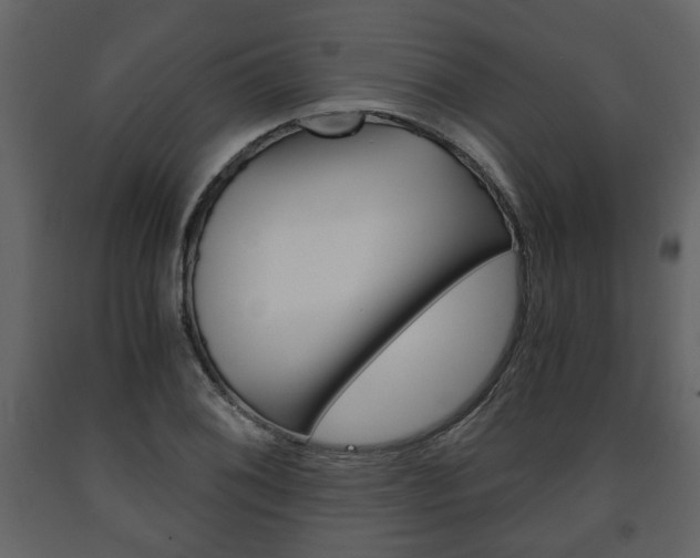 X0000091681076200708231102