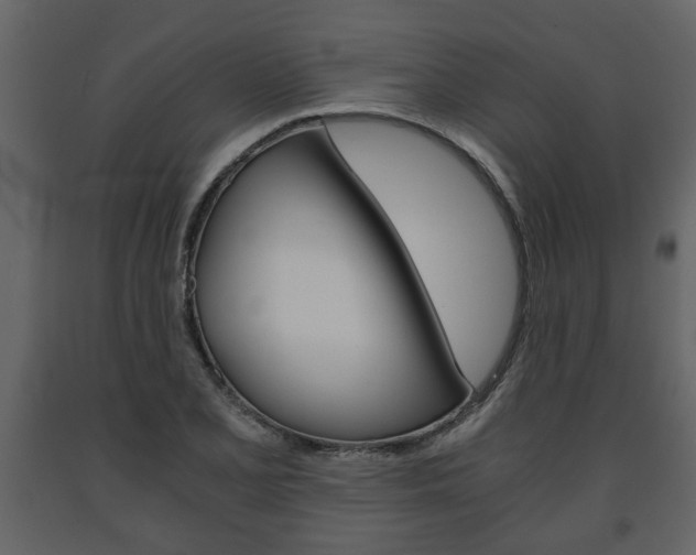 X0000091681077200708231102