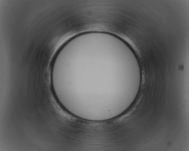 X0000091681078200708231102