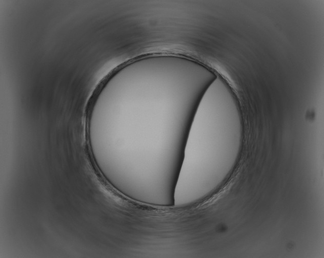 X0000091681079200708231102