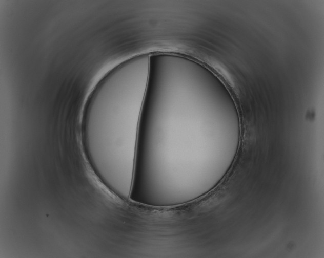 X0000091681080200708231102