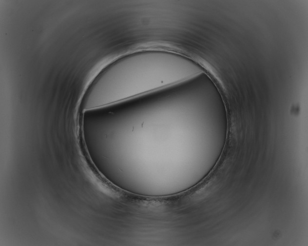 X0000091681082200708231102