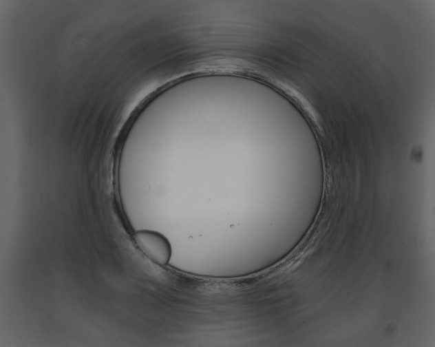 X0000091681083200708231102