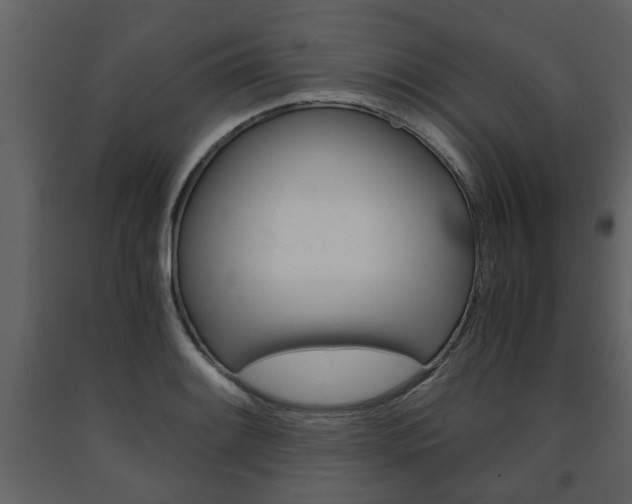 X0000091681084200708231102