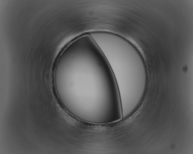 X0000091681085200708231102