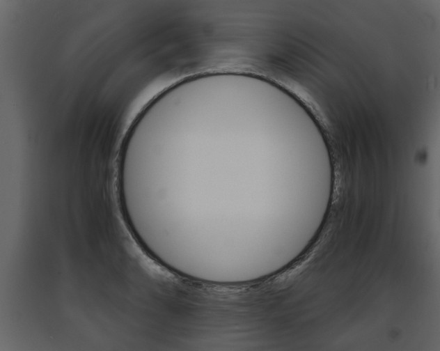X0000091681086200708231102