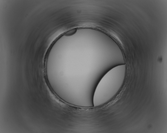 X0000091681087200708231102
