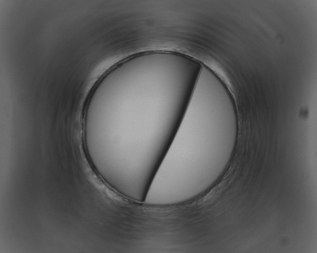 X0000091681088200708231102