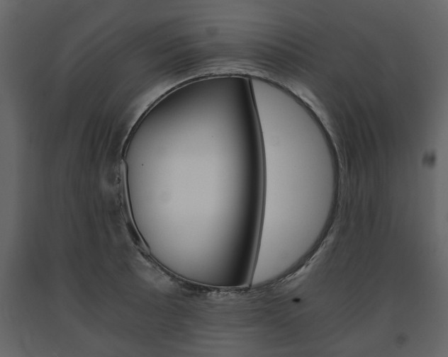 X0000091681089200708231102
