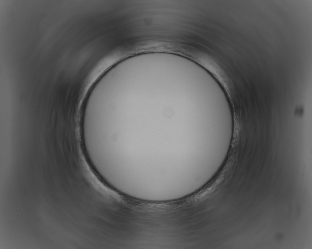 X0000091681090200708231102