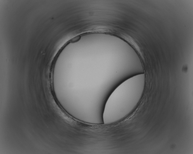 X0000091681091200708231102