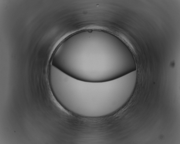 X0000091681092200708231102